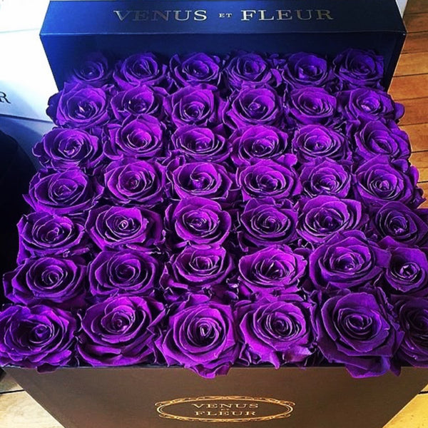 Sometimes we just have to stop and smell the Roses🌹